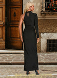 Alejandra High Neck Elegant Sheath/Column Jersey Maxi Dresses STKP0022290