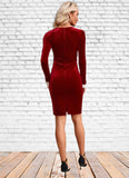 Mckenna Appliques Lace V-Neck Elegant Bodycon Velvet Mini Dresses STKP0022560