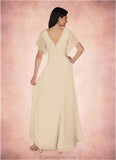 Lorelei A-Line V-Neck Pleated Chiffon Floor-Length Dress STKP0022646