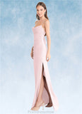 Danielle Sheath Pleated Chiffon Floor-Length Dress Blushing Pink STKP0022707