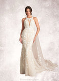 Alessandra Mermaid Detachable Train Lace Cathedral Train Dress Diamond White/Nude STKP0022800