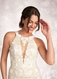 Alessandra Mermaid Detachable Train Lace Cathedral Train Dress Diamond White/Nude STKP0022800