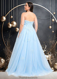 Monica Ball-Gown/Princess Straight Sweep Train Tulle Prom Dresses With Sequins Appliques Lace STKP0025864