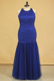 2024 Floor Length Prom Dresses Scoop Beaded Bodice Mermaid Tulle Dark Royal PG539RTL