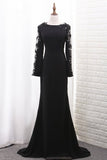 2024 Chiffon Long Sleeves Scoop Mermaid Evening Dresses PDX5B4DK