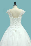 2024 A Line V Neck Wedding Dresses Tulle With Applique And Beads PEG67FLZ