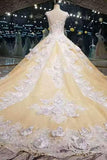 2024 Floral Wedding Dresses Lace Up With Appliques And Crystals Scoop P16SBLYH