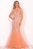 2024 High Neck Tulle With Applique Mermaid Prom Dresses PDDZ22XE