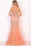 2024 High Neck Tulle With Applique Mermaid Prom Dresses PDDZ22XE