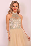 2024 A-Line Halter Prom Dress Floor-Length Tulle PDPGDNZG