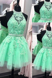 2024 A Line Homecoming Dresses Halter Beaded Bodice Short/Mini Tulle Zipper Up