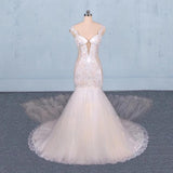 Charming Mermaid Tulle V-neck Wedding Dress, Sheer Back Long Bridal Dresses STK15112