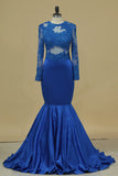 2024 Long Sleeves Prom Dresses Mermaid/Trumpet With Applique Sweep PH9Z5J9J