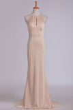 2024 Evening Dresses Sheath Scoop Spandex With Beading Sweep PKA21PNJ