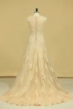 2024 Champagne V-Neck Wedding Dresses A Line Court Train With P6H7DA9C