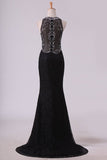 2024 New Arrival Scoop Prom Dresses Mermaid Beaded Bodice Sweep Train PZY3J8X9