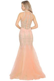 2024 High Neck Tulle With Applique Mermaid Prom Dresses PDDZ22XE