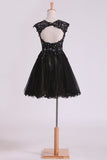 2024 Black Scoop Short/Mini Homecoming Dresses A Line Tulle With Applique And PDA6NT6M