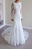 Long Sleeves Open Back Lace Appliques Scoop Mermaid Long Beach Wedding Dresses