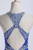 2024 Halter A-Line/Princess Prom Dresses Tulle And Chiffon Dark Royal Blue Sweep PE3XMX6Z