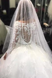 2024 Ball Gown Bateau Long Sleeves Tulle Wedding Dresses With Applique PK5FRD9J