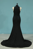 2024 Evening Dresses High Neck Mermaid Spandex PAAPKS7D