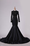 2024 Evening Dresses Scoop Long Sleeve With Applique Mermaid Elastic PGJADXJB