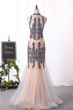 2024 New Arrival High Neck Mermaid Prom Dresses Tulle With Applique P6JK138G