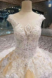 2024 Floral Wedding Dresses Lace Up With Appliques And Crystals Scoop P16SBLYH