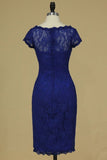 2024 Dark Royal Blue Evening Dresses Off The Shoulder With Applique Lace PF1AZJ87