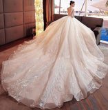 2024 Gorgeous Scoop Lace Appliques Flowers White Organza Long Sleeve Wedding Dresses