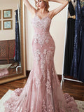 Trumpet/Mermaid Sleeveless Spaghetti Straps Sweep/Brush Train Applique Lace Dresses TPP0002825