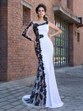 Trumpet/Mermaid Scoop Applique Long Sleeves Long Chiffon Dresses TPP0009099