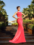 Trumpet/Mermaid Bateau Sleeveless Long Spandex Dresses TPP0002500