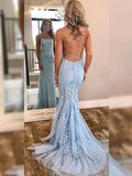 Trumpet/Mermaid Sleeveless Off-the-Shoulder Sweep/Brush Train Lace Tulle Dresses TPP0001625