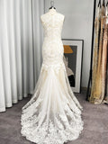 Trumpet/Mermaid Tulle Applique Scoop Sleeveless Sweep/Brush Train Wedding Dresses TPP0006101