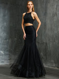 Trumpet/Mermaid Spaghetti Straps Sleeveless Applique Floor-Length Net Two Piece Dresses TPP0002540