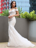 Trumpet/Mermaid Tulle Applique Off-the-Shoulder Sleeveless Sweep/Brush Train Wedding Dresses TPP0006311