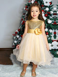 A-Line/Princess Organza Sequin Scoop Sleeveless Tea-Length Flower Girl Dresses TPP0007551