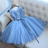 A Line V Neck Blue Tulle Cheap Beads Short Homecoming Dresses with Lace Appliques