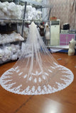 Ivory Lace Tulle Appliques 3D Flowers Wedding Veils